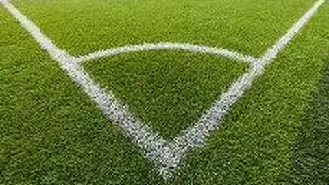 米兰体育 产品 084529 boe