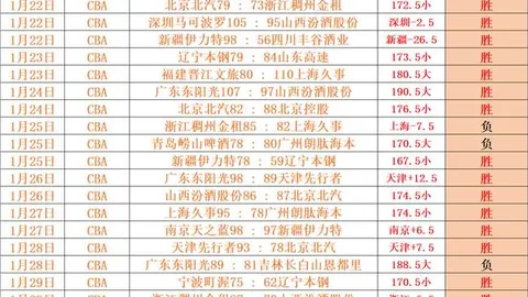 激情碰撞！西汉姆联与桑德兰强强对决，精彩比分尽在其中！