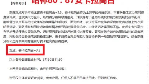TurtleWoW败诉禁令详情